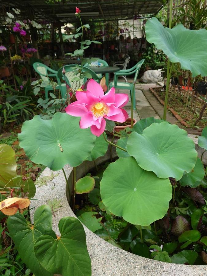 Garden Hostel Minxiong Extérieur photo
