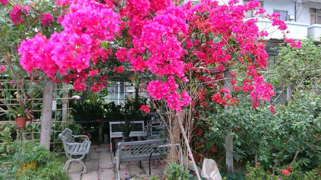 Garden Hostel Minxiong Extérieur photo